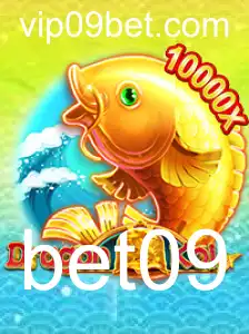 Explorando o Mundo de DragonKoi: Um Guia Completo para Apostadores